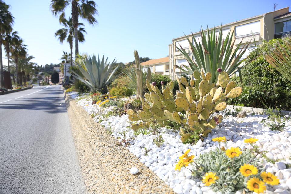 Le développement de l’écologie dans le secteur immobilier à Sanary sur Mer