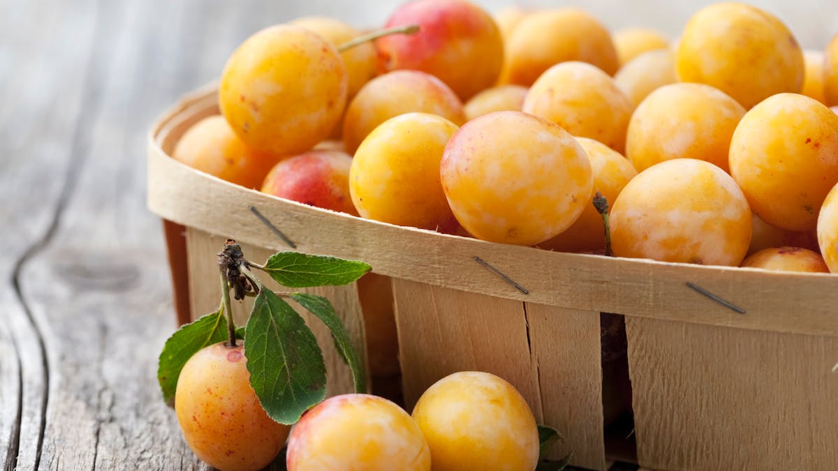 Quels sont les bienfaits de la mirabelle ?